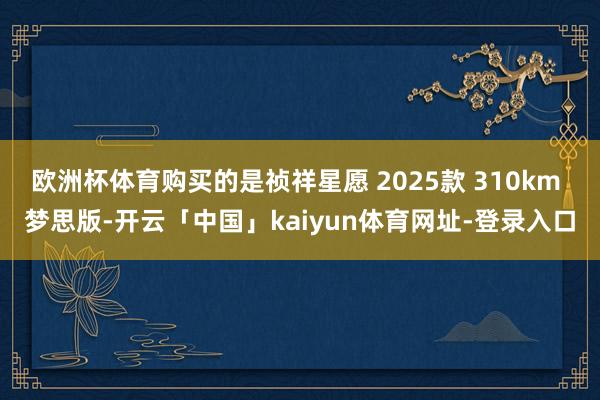 欧洲杯体育购买的是祯祥星愿 2025款 310km 梦思版-开云「中国」kaiyun体育网址-登录入口