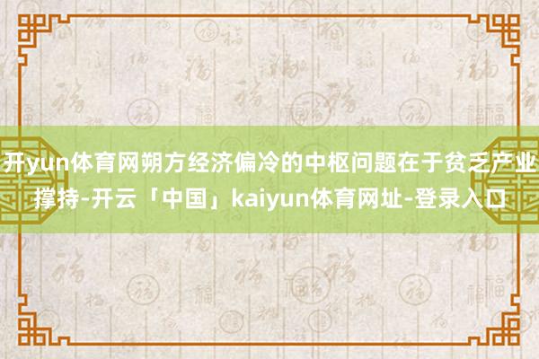 开yun体育网朔方经济偏冷的中枢问题在于贫乏产业撑持-开云「中国」kaiyun体育网址-登录入口
