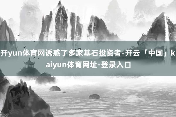 开yun体育网诱惑了多家基石投资者-开云「中国」kaiyun体育网址-登录入口